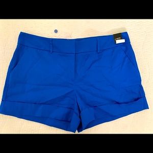 Ny&Co sz 16, Blue shorts